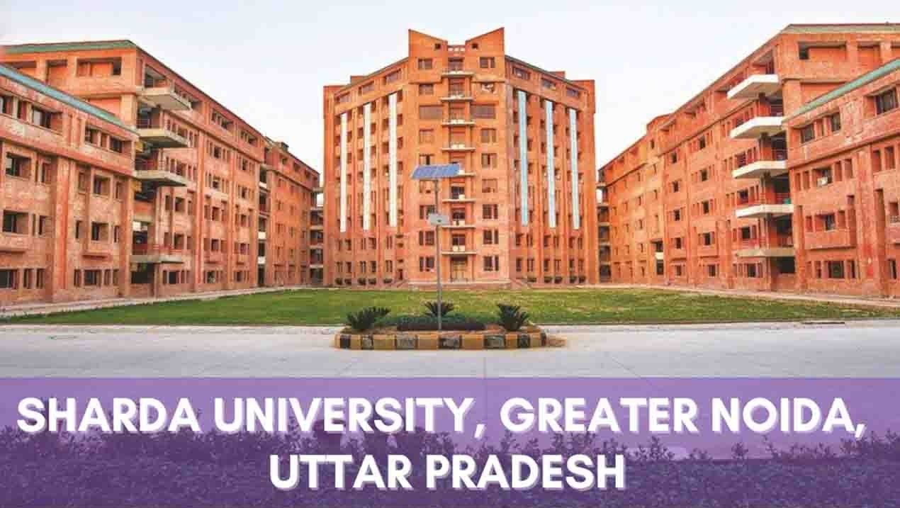 sharda university placement 2023